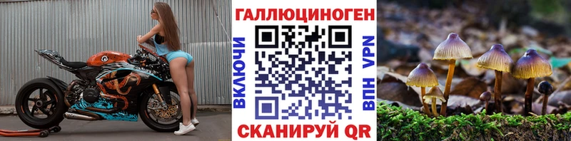 OMG ссылки  Кумертау  Псилоцибиновые грибы Cubensis 