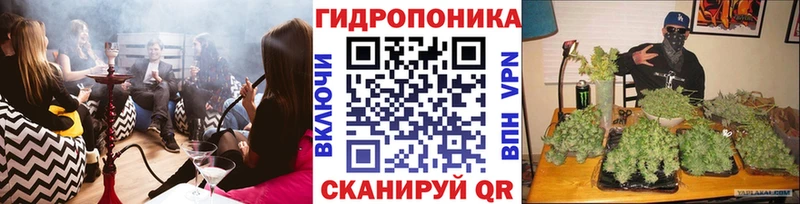 где продают наркотики Кумертау Каннабис OG Kush